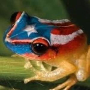 Meet your Posher, Felicita